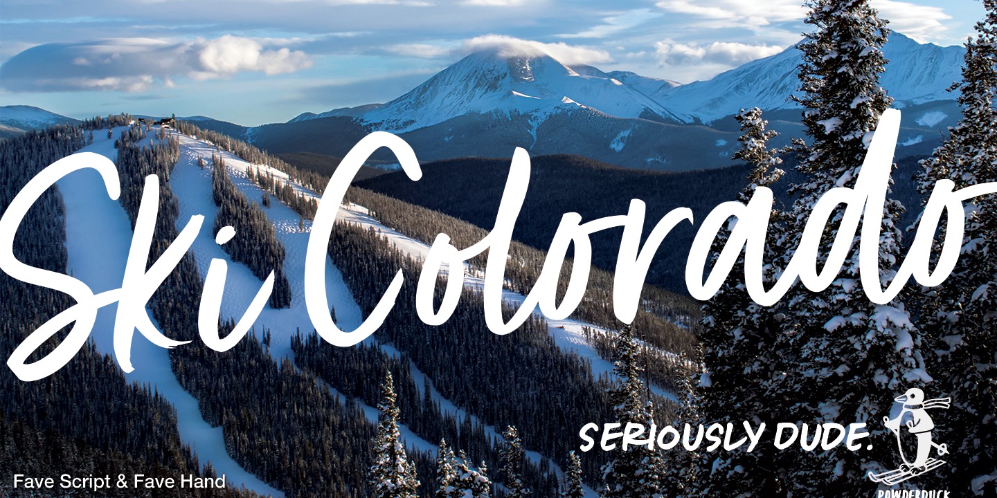 Fave Casual Script Bold Font preview